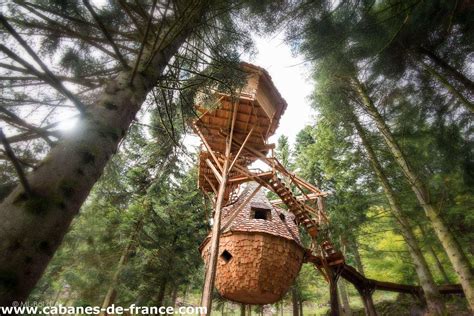 Cabane insolite dans la forêt près de Durbuy